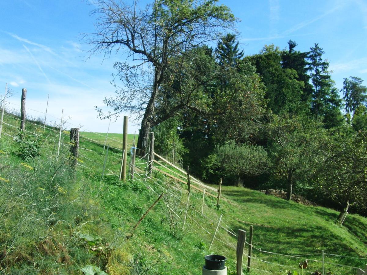 Ferienhaus Grabenhansl Stubenberg Zewnętrze zdjęcie