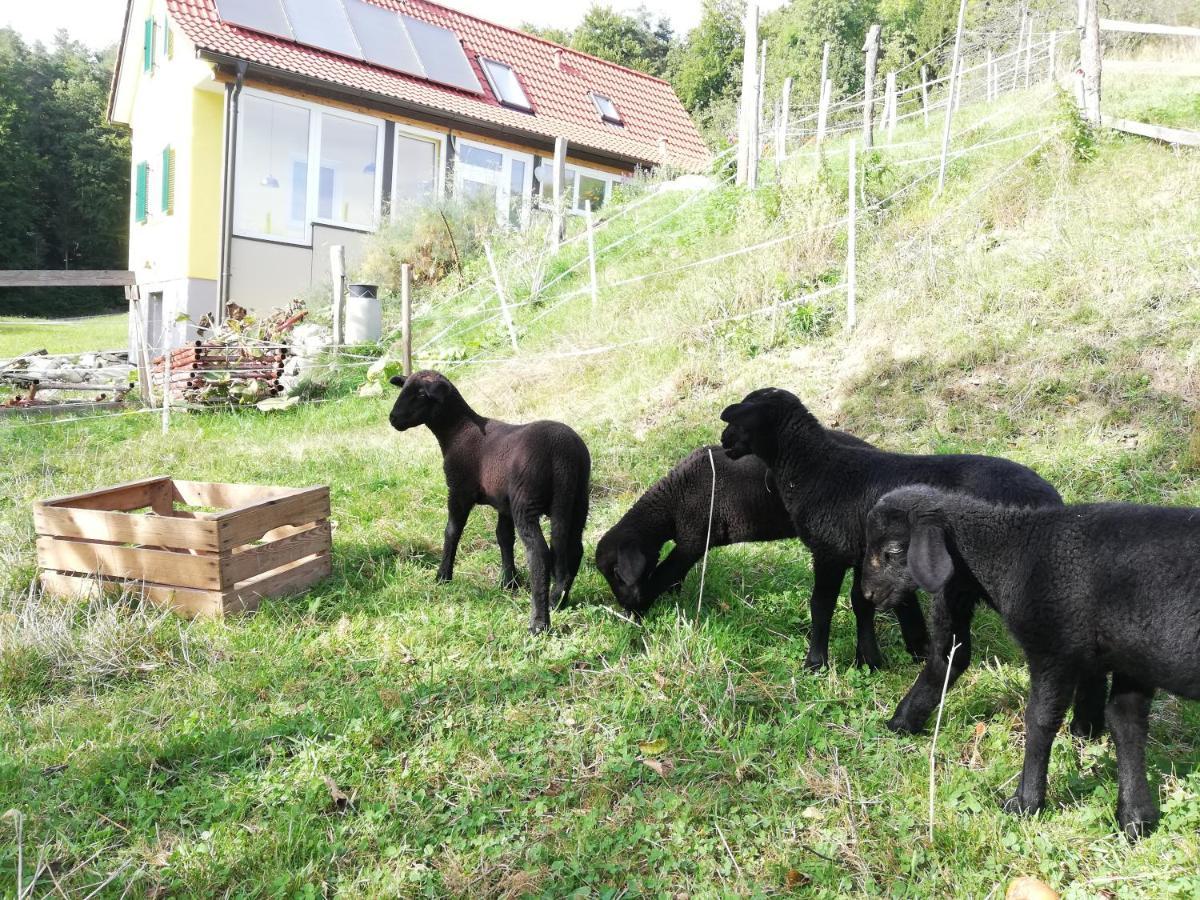 Ferienhaus Grabenhansl Stubenberg Zewnętrze zdjęcie