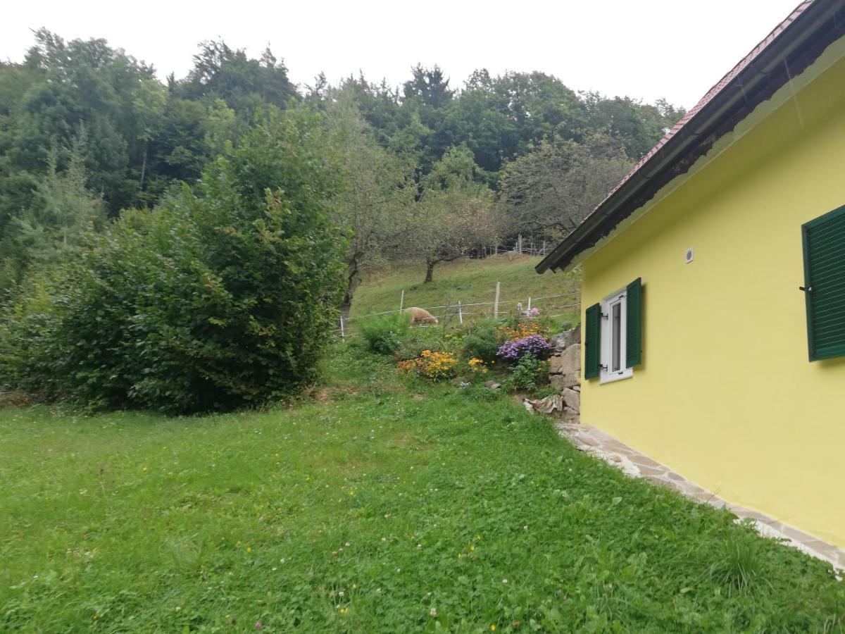 Ferienhaus Grabenhansl Stubenberg Zewnętrze zdjęcie