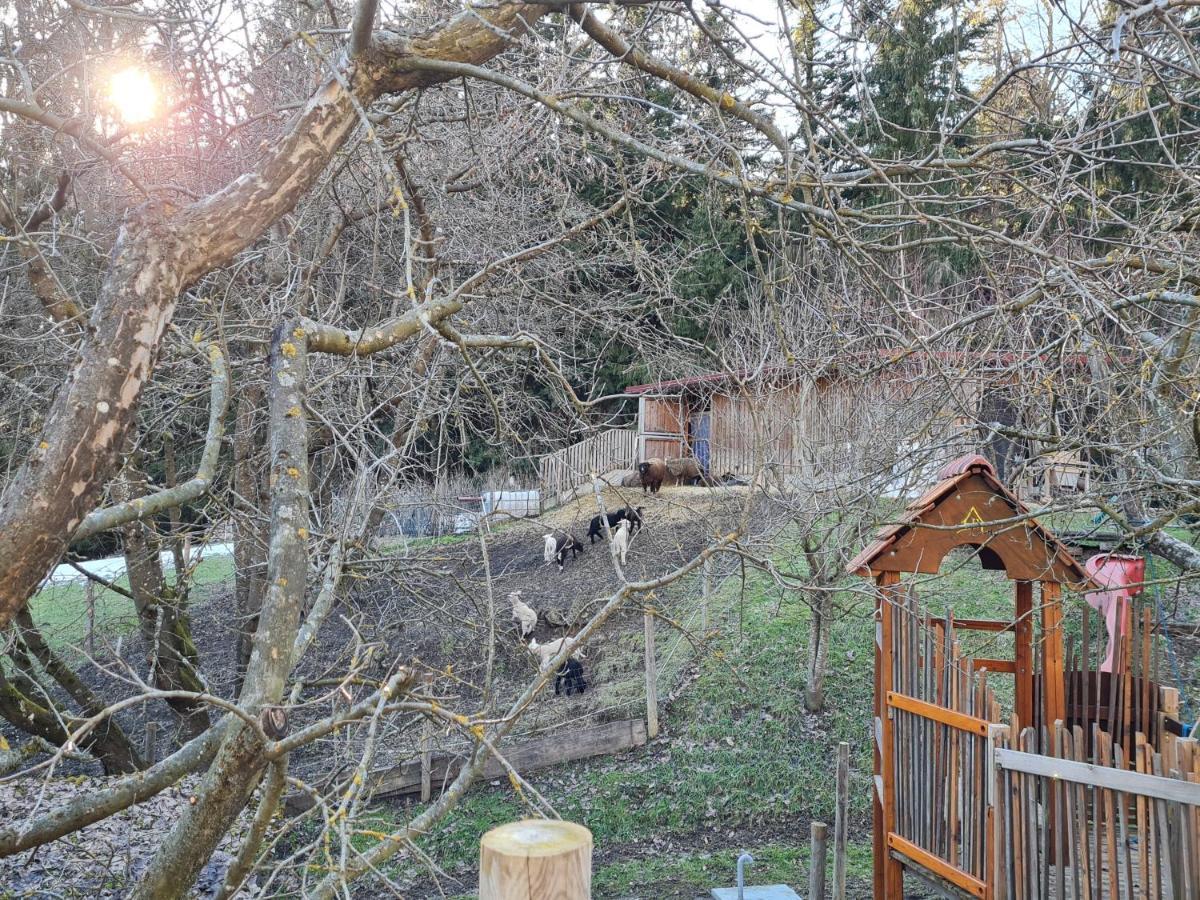 Ferienhaus Grabenhansl Stubenberg Zewnętrze zdjęcie
