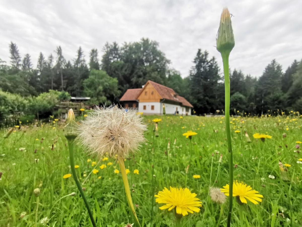 Ferienhaus Grabenhansl Stubenberg Zewnętrze zdjęcie