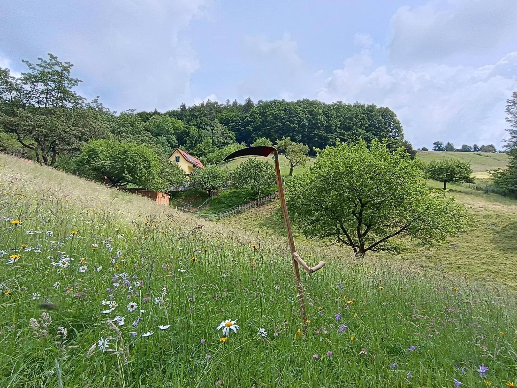 Ferienhaus Grabenhansl Stubenberg Zewnętrze zdjęcie