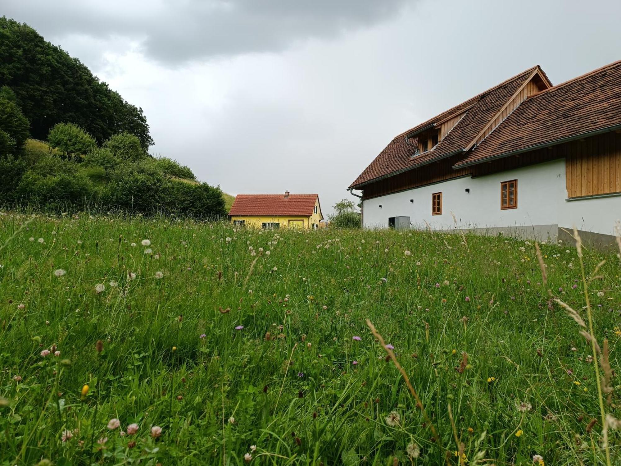Ferienhaus Grabenhansl Stubenberg Zewnętrze zdjęcie