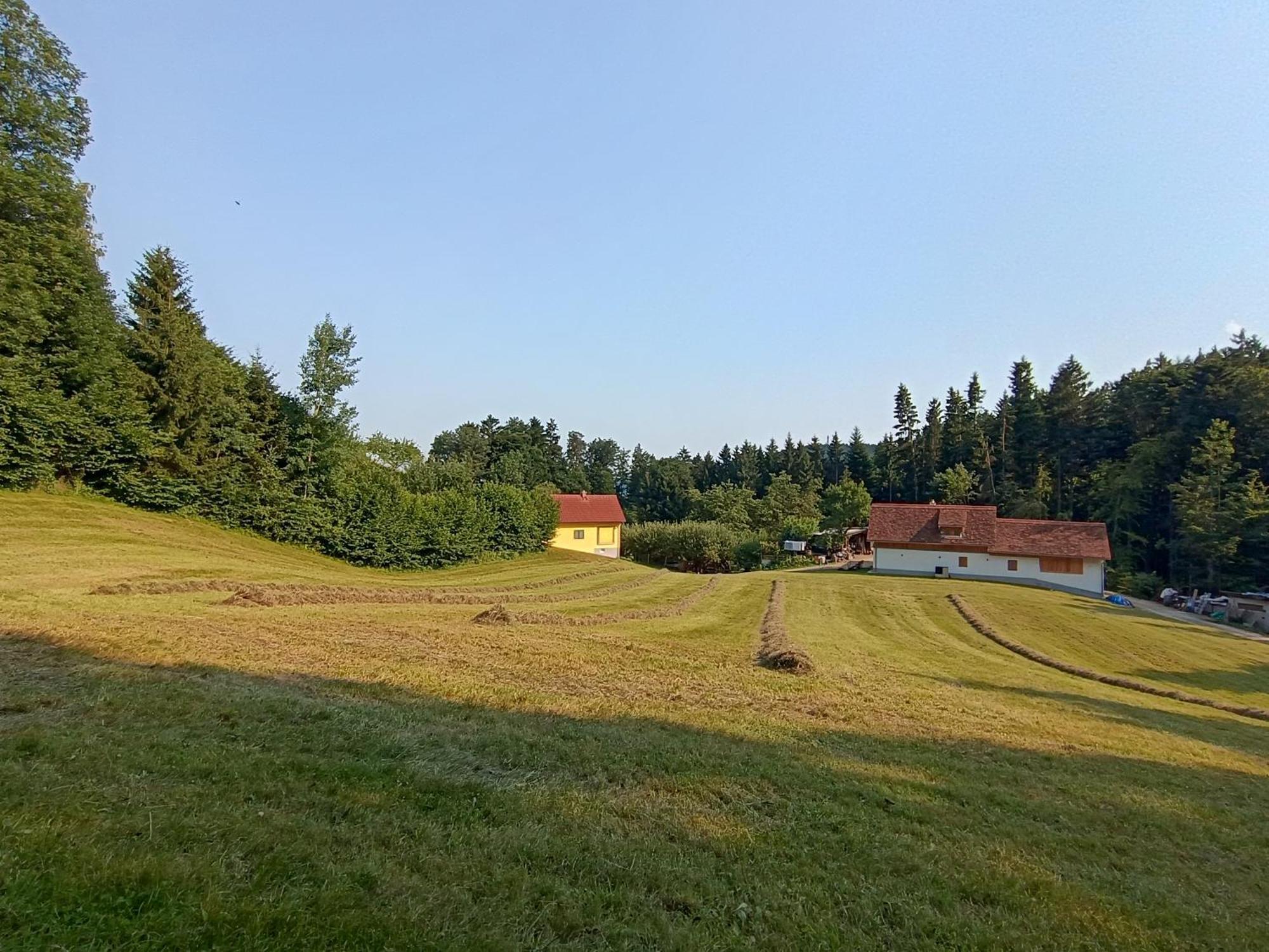Ferienhaus Grabenhansl Stubenberg Zewnętrze zdjęcie